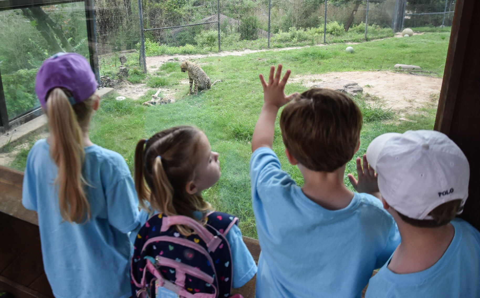 Burn off energy - Tyler Caldwell Zoo - Jessica Payne file (1).jpg